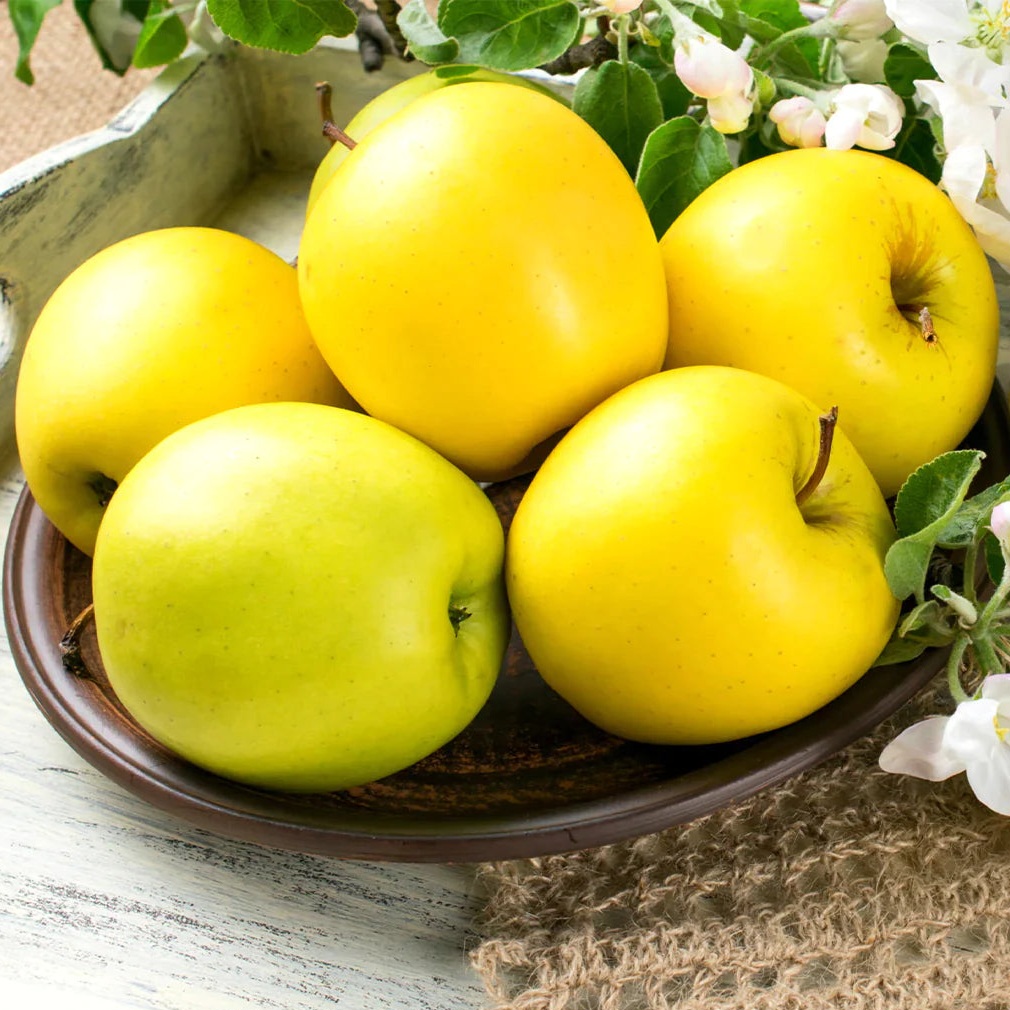 Golden Delicious Apples 5kg